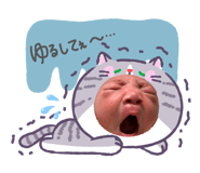 857786380