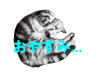 857786572