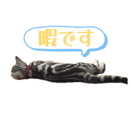 857786573