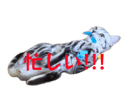 857786574