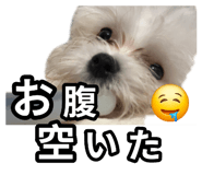 857786971