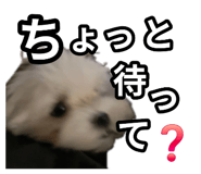 857786972
