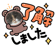 857787510