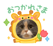 857787513