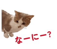 857787836