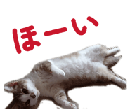 857787837