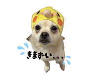 857789209