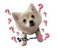 857789214