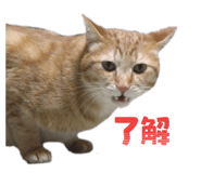 857791193