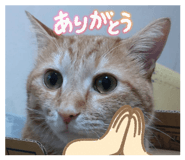857791199