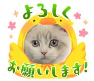 857791480