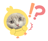 857791484