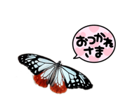 857791548