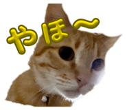 857792898