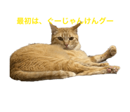 857792913