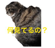 857792920