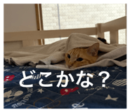 857792924