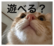 857792927