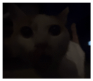 857793255
