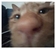 857793264
