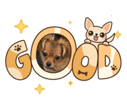 857793520
