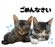 857793682