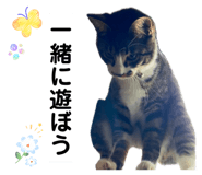 857793687