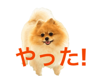 857793730