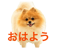857793735