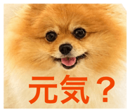 857793736