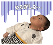 857793991
