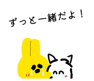 857794162