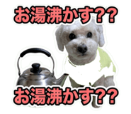 857794858