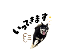 857795034