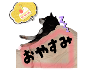 857795035