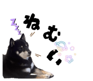 857795036