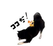 857795041