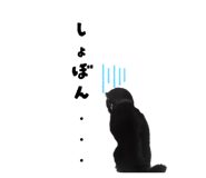 857795046