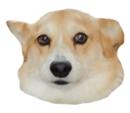 857795434