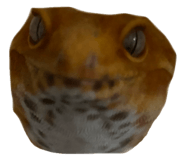 857795438