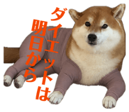 857795553