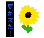 857796163