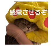 857797049