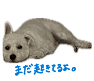 857798162