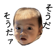 857798208