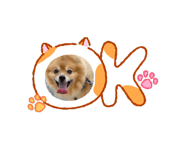 857799297