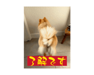 857799302