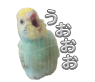 857801193