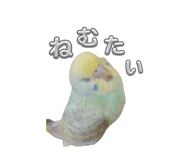 857801200