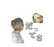 857801205